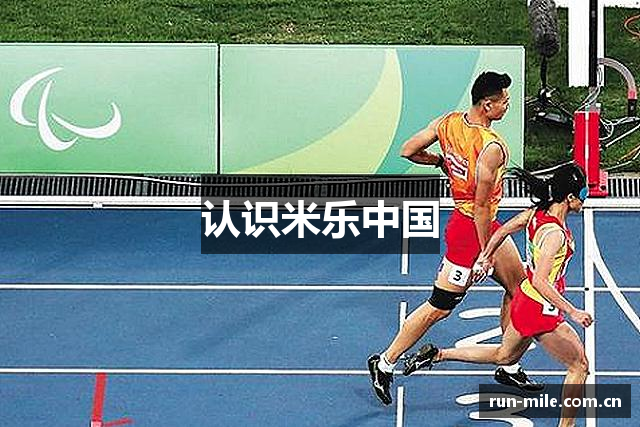 认识米乐中国